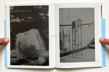 Sample page 7 for book "Merlini, Francesco – Francesco Merlini - The Flood" Sample page 7 for book "Merlini, Francesco – Francesco Merlini - The Flood"