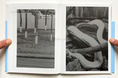 Sample page 2 for book "Merlini, Francesco – Francesco Merlini - The Flood" Sample page 2 for book "Merlini, Francesco – Francesco Merlini - The Flood"