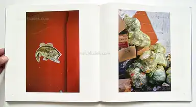 Sample page 10 for book "Eggleston, William – William Eggleston - Chromes - Volume III" Sample page 10 for book "Eggleston, William – William Eggleston - Chromes - Volume III"