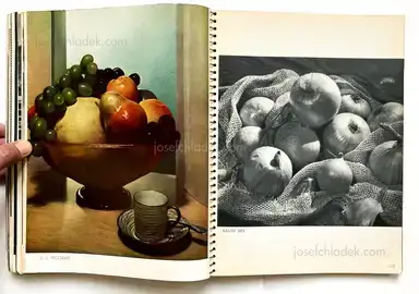 Sample page 10 for book "Maloney, T. J. – T. J. Maloney - U.S. Camera Annual 1935" Sample page 10 for book "Maloney, T. J. – T. J. Maloney - U.S. Camera Annual 1935"