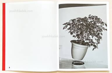 Sample page 15 for book "Nobel, Yurian Quintanas – Yurian Quintanas Nobel - Dream Moons" Sample page 15 for book "Nobel, Yurian Quintanas – Yurian Quintanas Nobel - Dream Moons"