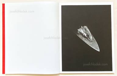 Sample page 8 for book "Nobel, Yurian Quintanas – Yurian Quintanas Nobel - Dream Moons" Sample page 8 for book "Nobel, Yurian Quintanas – Yurian Quintanas Nobel - Dream Moons"