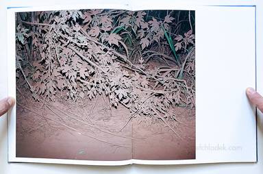 Sample page 6 for book  Viviane Sassen – Flamboya