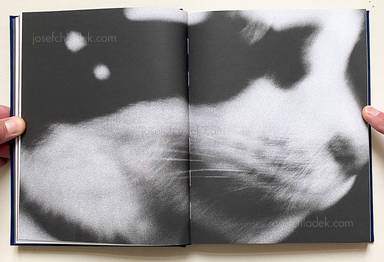 Sample page 16 for book "Pogoda, Silvia – Silvia Pogoda - Butterflies" Sample page 16 for book "Pogoda, Silvia – Silvia Pogoda - Butterflies"