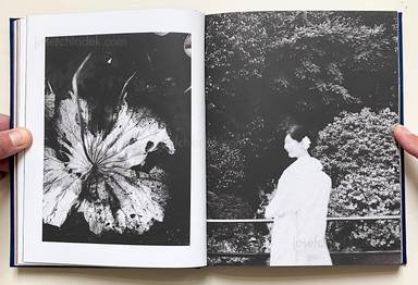 Sample page 14 for book "Pogoda, Silvia – Silvia Pogoda - Butterflies" Sample page 14 for book "Pogoda, Silvia – Silvia Pogoda - Butterflies"