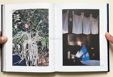 Sample page 10 for book "Pogoda, Silvia – Silvia Pogoda - Butterflies" Sample page 10 for book "Pogoda, Silvia – Silvia Pogoda - Butterflies"