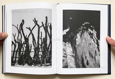 Sample page 17 for book Silvia Pogoda &ndash; Butterflies