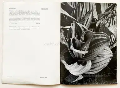 Sample page 2 for book "Sutnar, Ladislav & Jaromir Funke – Ladislav Sutnar & Jaromir Funke - Fotografie vidi povrch. La photographie reflète l´aspect des choses." Sample page 2 for book "Sutnar, Ladislav & Jaromir Funke – Ladislav Sutnar & Jaromir Funke - Fotografie vidi povrch. La photographie reflète l´aspect des choses."