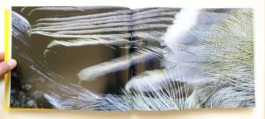 Sample page 19 for book "Ängsvik, Anders – Anders Ängsvik - Roadkill" Sample page 19 for book "Ängsvik, Anders – Anders Ängsvik - Roadkill"