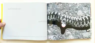 Sample page 17 for book "Ängsvik, Anders – Anders Ängsvik - Roadkill" Sample page 17 for book "Ängsvik, Anders – Anders Ängsvik - Roadkill"