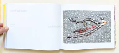 Sample page 15 for book "Ängsvik, Anders – Anders Ängsvik - Roadkill" Sample page 15 for book "Ängsvik, Anders – Anders Ängsvik - Roadkill"