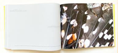 Sample page 11 for book "Ängsvik, Anders – Anders Ängsvik - Roadkill" Sample page 11 for book "Ängsvik, Anders – Anders Ängsvik - Roadkill"