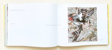 Sample page 8 for book "Ängsvik, Anders – Anders Ängsvik - Roadkill" Sample page 8 for book "Ängsvik, Anders – Anders Ängsvik - Roadkill"