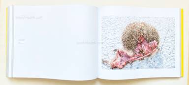 Sample page 6 for book "Ängsvik, Anders – Anders Ängsvik - Roadkill" Sample page 6 for book "Ängsvik, Anders – Anders Ängsvik - Roadkill"