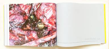 Sample page 5 for book "Ängsvik, Anders – Anders Ängsvik - Roadkill" Sample page 5 for book "Ängsvik, Anders – Anders Ängsvik - Roadkill"