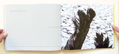 Sample page 4 for book "Ängsvik, Anders – Anders Ängsvik - Roadkill" Sample page 4 for book "Ängsvik, Anders – Anders Ängsvik - Roadkill"