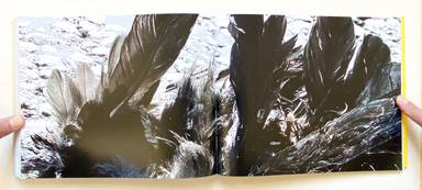 Sample page 2 for book "Ängsvik, Anders – Anders Ängsvik - Roadkill" Sample page 2 for book "Ängsvik, Anders – Anders Ängsvik - Roadkill"