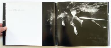 Sample page 9 for book  Trent Parke – The Seventh Wave : Photographs of Australian Beaches