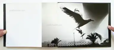 Sample page 1 for book "Parke, Trent – Trent Parke - Dream/Life" Sample page 1 for book "Parke, Trent – Trent Parke - Dream/Life"