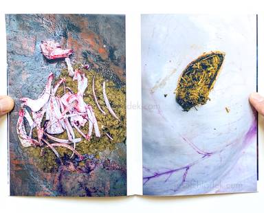 Sample page 2 for book "Reboli, Stefano – Stefano Reboli - Jhochhen Tole/Daśãi" Sample page 2 for book "Reboli, Stefano – Stefano Reboli - Jhochhen Tole/Daśãi"