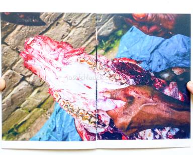 Sample page 1 for book "Reboli, Stefano – Stefano Reboli - Jhochhen Tole/Daśãi" Sample page 1 for book "Reboli, Stefano – Stefano Reboli - Jhochhen Tole/Daśãi"