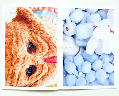 Sample page 4 for book "Reboli, Stefano – Stefano Reboli - Jupiter in Aquarius" Sample page 4 for book "Reboli, Stefano – Stefano Reboli - Jupiter in Aquarius"