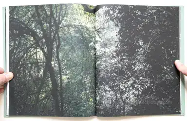 Sample page 3 for book "Bravo, Raquel – Raquel Bravo - Mato Grosso" Sample page 3 for book "Bravo, Raquel – Raquel Bravo - Mato Grosso"