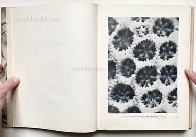 Sample page 3 for book Oskar Prochnow &ndash; Formenkunst der Natur