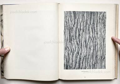 Sample page 9 for book Oskar Prochnow – Formenkunst der Natur