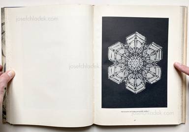 Sample page 10 for book Oskar Prochnow – Formenkunst der Natur