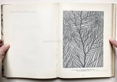 Sample page 12 for book Oskar Prochnow – Formenkunst der Natur