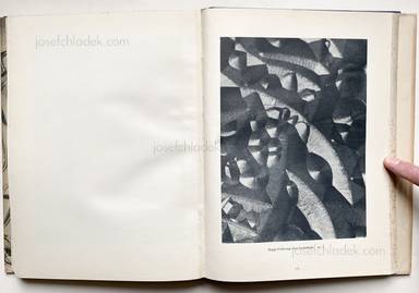 Sample page 6 for book "Prochnow, Oskar – Oskar Prochnow - Formenkunst der Natur" Sample page 6 for book "Prochnow, Oskar – Oskar Prochnow - Formenkunst der Natur"