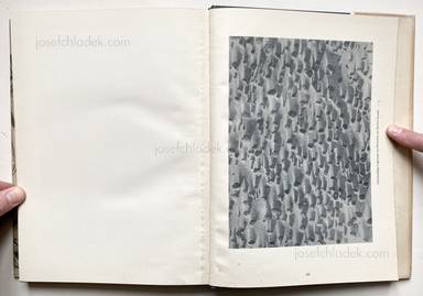 Sample page 1 for book "Prochnow, Oskar – Oskar Prochnow - Formenkunst der Natur" Sample page 1 for book "Prochnow, Oskar – Oskar Prochnow - Formenkunst der Natur"