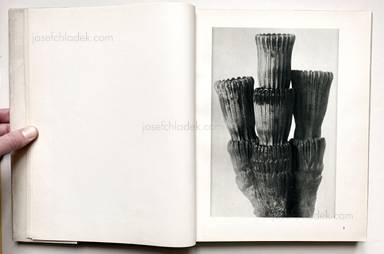 Sample page 4 for book  Karl Blossfeldt – Urformen der Kunst