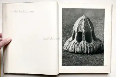 Sample page 27 for book "Blossfeldt, Karl – Karl Blossfeldt - Urformen der Kunst" Sample page 27 for book "Blossfeldt, Karl – Karl Blossfeldt - Urformen der Kunst"