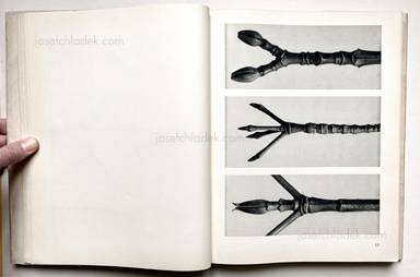 Sample page 24 for book "Blossfeldt, Karl – Karl Blossfeldt - Urformen der Kunst" Sample page 24 for book "Blossfeldt, Karl – Karl Blossfeldt - Urformen der Kunst"