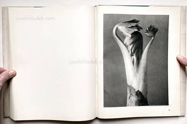 Sample page 3 for book "Blossfeldt, Karl – Karl Blossfeldt - Urformen der Kunst" Sample page 3 for book "Blossfeldt, Karl – Karl Blossfeldt - Urformen der Kunst"