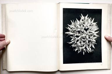 Sample page 1 for book "Blossfeldt, Karl – Karl Blossfeldt - Urformen der Kunst" Sample page 1 for book "Blossfeldt, Karl – Karl Blossfeldt - Urformen der Kunst"