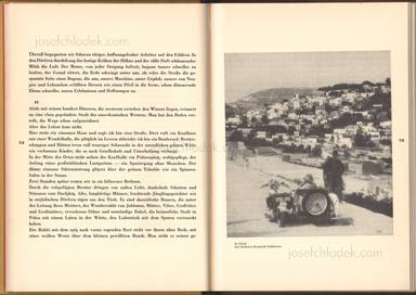 Sample page 6 for book Armin T. Wegner – Jagd durch das tausendjährige Land
