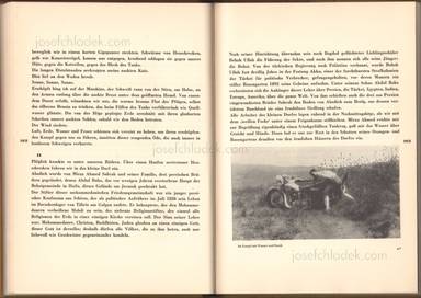 Sample page 10 for book Armin T. Wegner – Jagd durch das tausendjährige Land