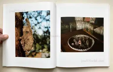 Sample page 11 for book "Jude, Ron – Ron Jude - Lick Creek Line" Sample page 11 for book "Jude, Ron – Ron Jude - Lick Creek Line"