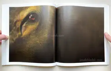 Sample page 7 for book "Jude, Ron – Ron Jude - Lick Creek Line" Sample page 7 for book "Jude, Ron – Ron Jude - Lick Creek Line"