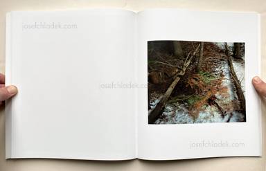 Sample page 17 for book  Ron Jude – Lick Creek Line