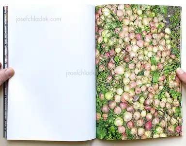 Sample page 4 for book "Sulzmann, Luis Maria – Luis Maria Sulzmann - Requiem" Sample page 4 for book "Sulzmann, Luis Maria – Luis Maria Sulzmann - Requiem"