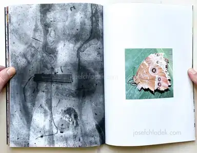 Sample page 2 for book "Sulzmann, Luis Maria – Luis Maria Sulzmann - Requiem" Sample page 2 for book "Sulzmann, Luis Maria – Luis Maria Sulzmann - Requiem"