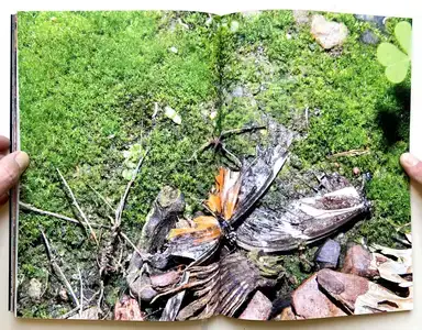 Sample page 1 for book "Sulzmann, Luis Maria – Luis Maria Sulzmann - Requiem" Sample page 1 for book "Sulzmann, Luis Maria – Luis Maria Sulzmann - Requiem"