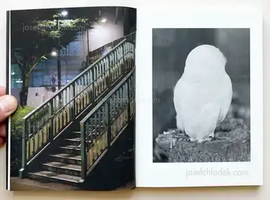 Sample page 17 for book "Zerrahn, Max – Max Zerrahn - Snake Legs" Sample page 17 for book "Zerrahn, Max – Max Zerrahn - Snake Legs"