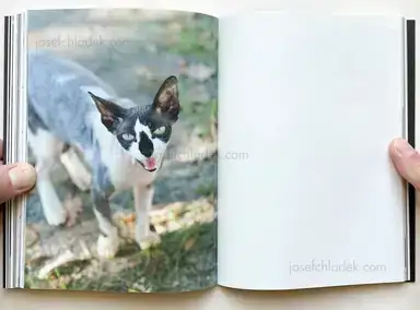 Sample page 6 for book "Zerrahn, Max – Max Zerrahn - Snake Legs" Sample page 6 for book "Zerrahn, Max – Max Zerrahn - Snake Legs"