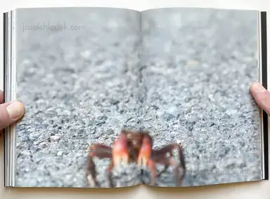 Sample page 5 for book "Zerrahn, Max – Max Zerrahn - Snake Legs" Sample page 5 for book "Zerrahn, Max – Max Zerrahn - Snake Legs"