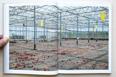 Sample page 2 for book  Klaus Pichler – The Petunia Carnage